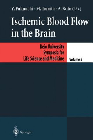 Ischemic Blood Flow in the Brain