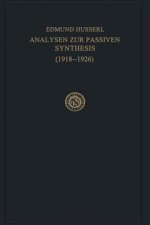 Analysen zur Passiven Synthesis