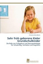 Sehr fruh geborene Kieler Grundschulkinder