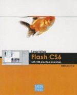 Learning Flash CS6 with 100 Practical Exercises