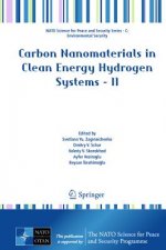 Carbon Nanomaterials in Clean Energy Hydrogen Systems - II
