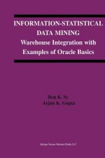 Information-Statistical Data Mining