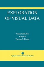Exploration of Visual Data