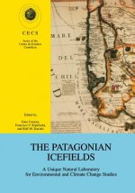 Patagonian Icefields