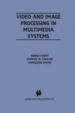 Video and Image Processing in Multimedia Systems, 1