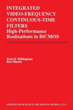 Integrated Video-Frequency Continuous-Time Filters