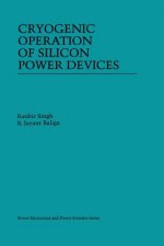 Cryogenic Operation of Silicon Power Devices, 1