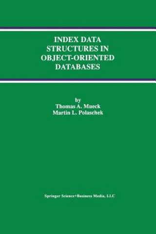 Index Data Structures in Object-Oriented Databases, 1