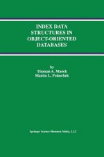 Index Data Structures in Object-Oriented Databases, 1