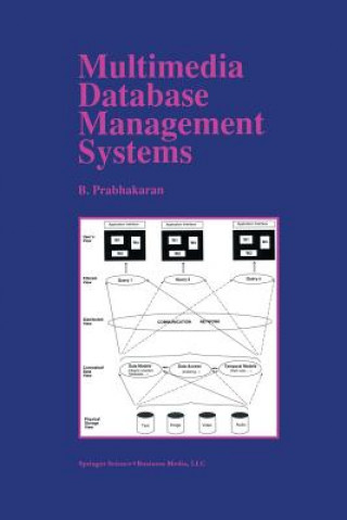 Multimedia Database Management Systems, 1