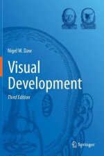 Visual Development