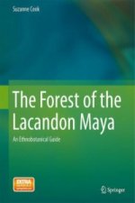 Forest of the Lacandon Maya