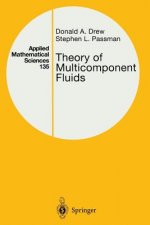 Theory of Multicomponent Fluids