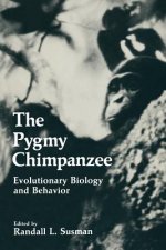 Pygmy Chimpanzee