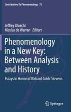 Phenomenology in a New Key: Between Analysis and History