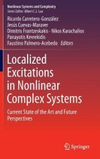 Localized Excitations in Nonlinear Complex Systems