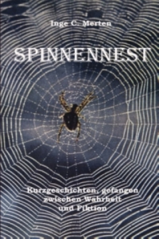 Spinnennest