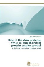 Role of the AAA protease Yme1 in mitochondrial protein quality control