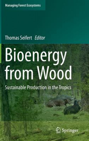 Bioenergy from Wood