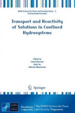 Transport and Reactivity of Solutions in Confined Hydrosystems