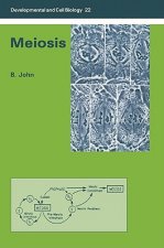Meiosis