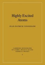 Highly Excited Atoms