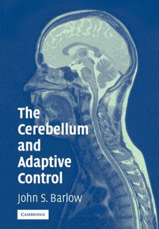 Cerebellum and Adaptive Control