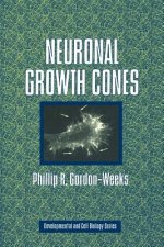 Neuronal Growth Cones
