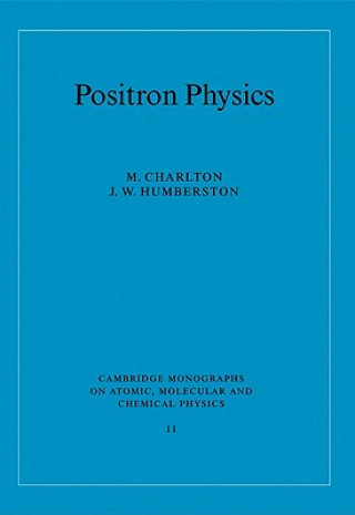 Positron Physics