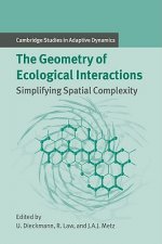 Geometry of Ecological Interactions