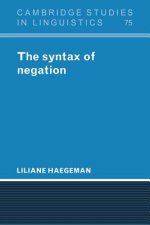 Syntax of Negation