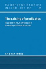 Raising of Predicates