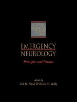 Emergency Neurology