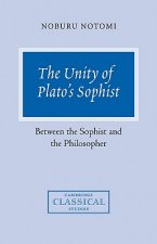 Unity of Plato's Sophist