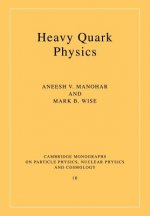 Heavy Quark Physics
