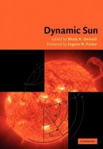 Dynamic Sun