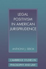 Legal Positivism in American Jurisprudence