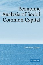 Economic Analysis of Social Common Capital