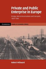Private and Public Enterprise in Europe
