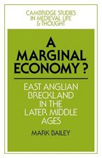 Marginal Economy?