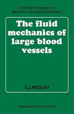 Fluid Mechanics of Large Blood Vessels