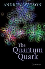 Quantum Quark