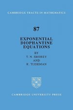 Exponential Diophantine Equations