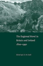 Regional Novel in Britain and Ireland