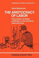 Aristocracy of Labour