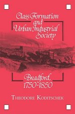 Class Formation and Urban Industrial Society