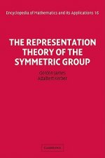 Representation Theory of the Symmetric Group