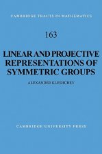 Linear and Projective Representations of Symmetric Groups