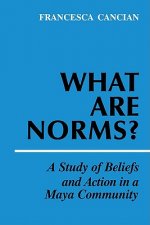 What Are Norms?