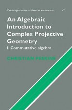 Algebraic Introduction to Complex Projective Geometry